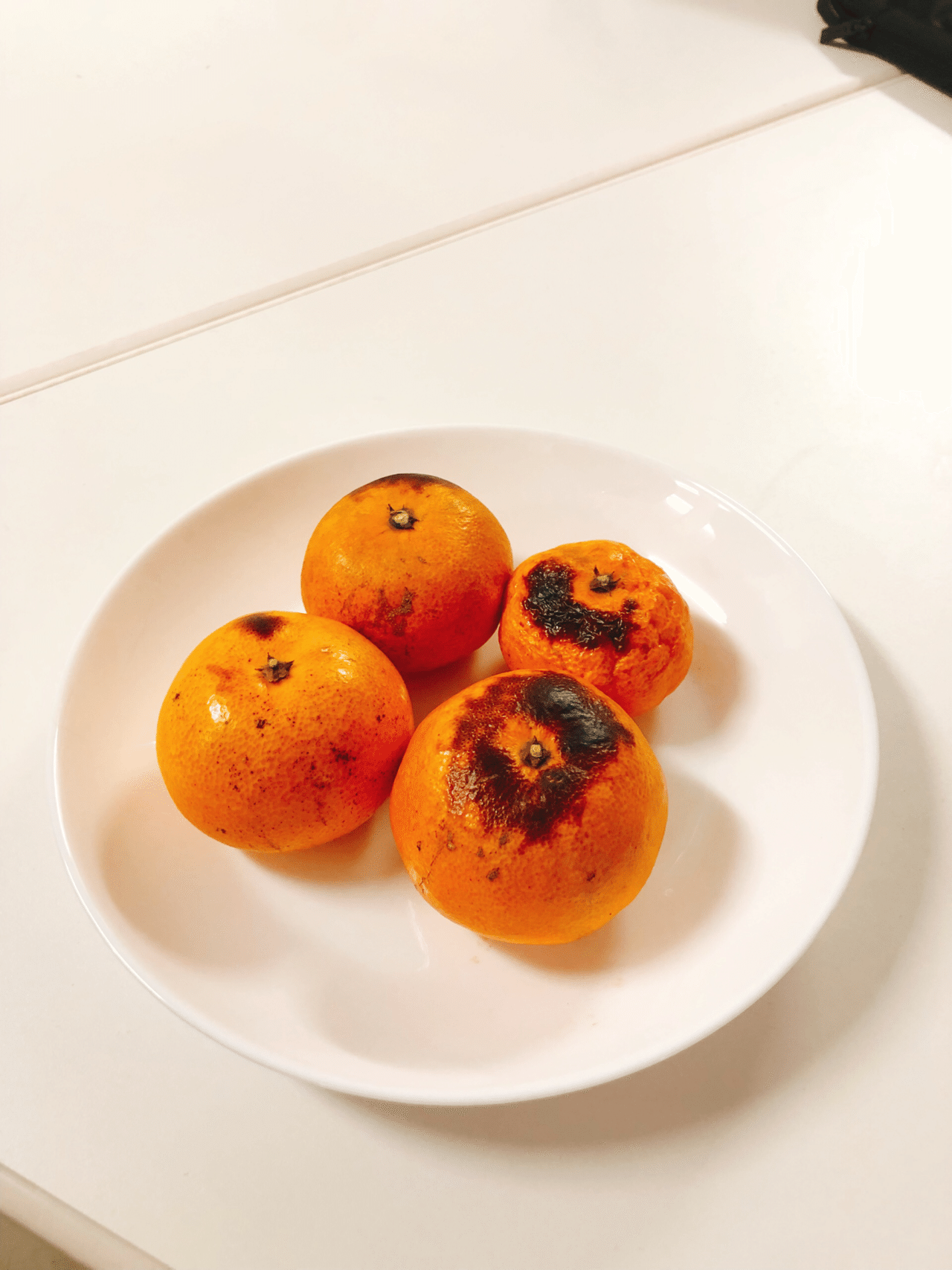 ほっとみかん のら子 Note ほっとみかん のら子 Note