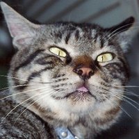 そう Amazon Vineに選ばれるには マダナイ Note