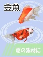 金魚