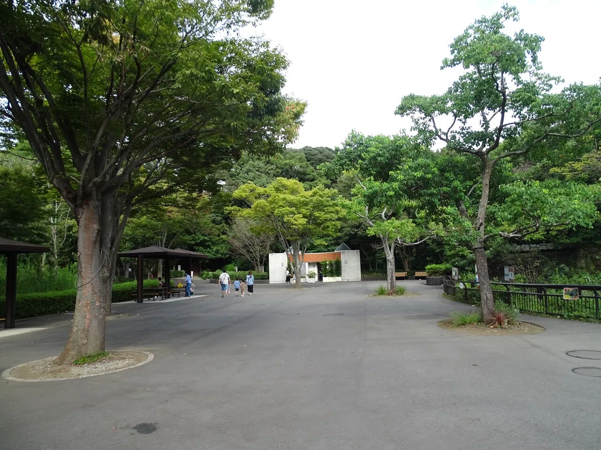 画像59