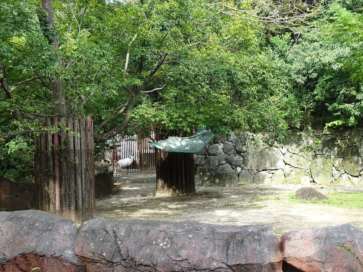 画像51