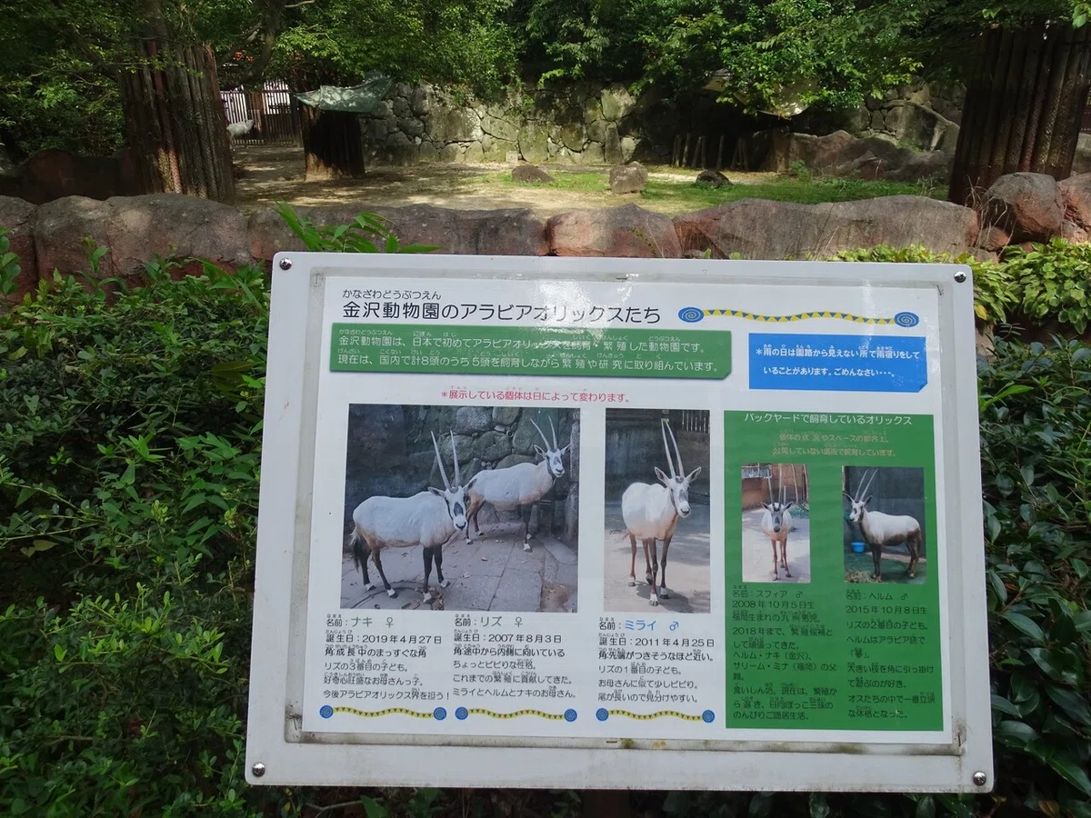画像53