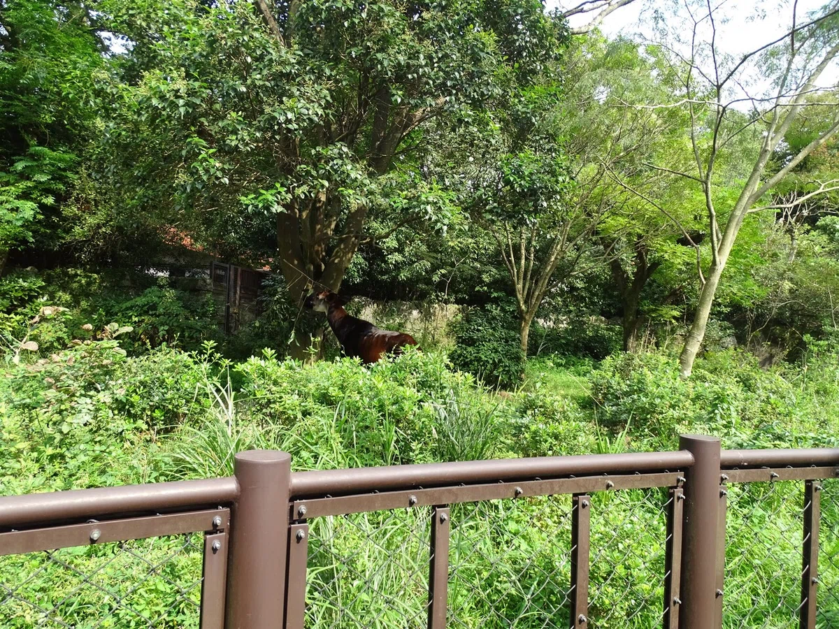 画像57
