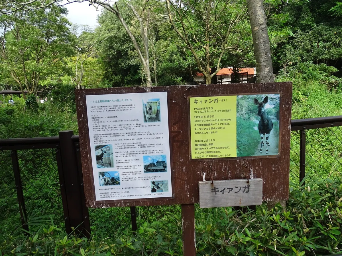 画像58