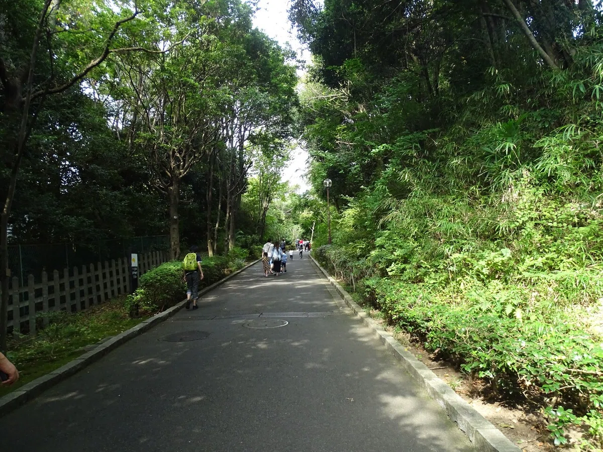 画像61