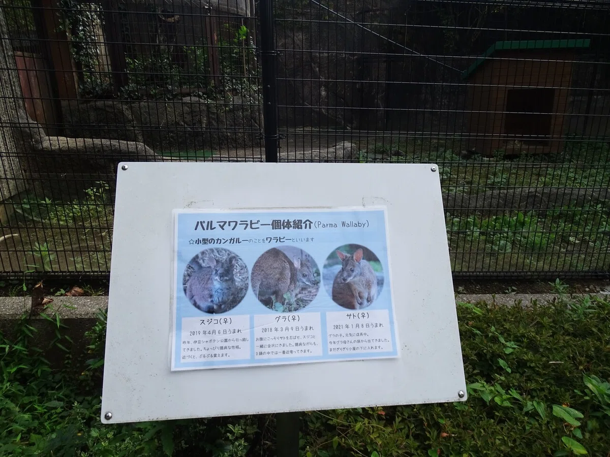 画像69