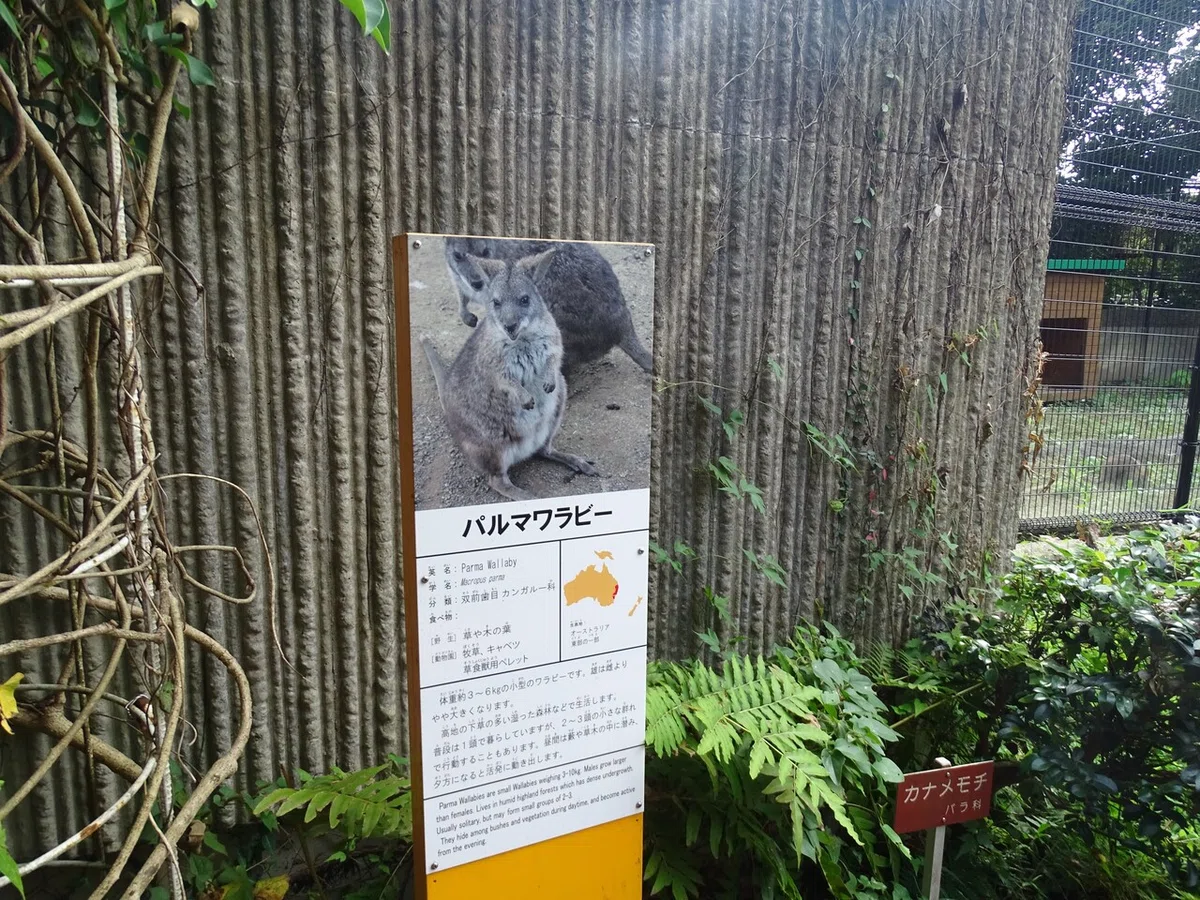 画像68