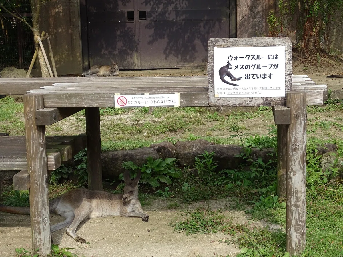 画像81