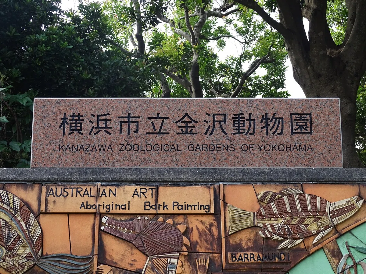 画像70
