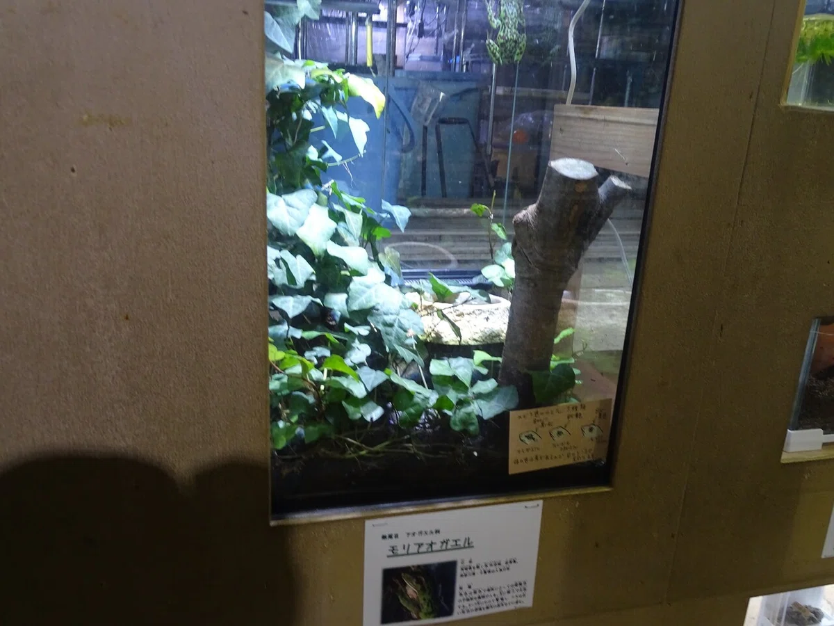 画像100