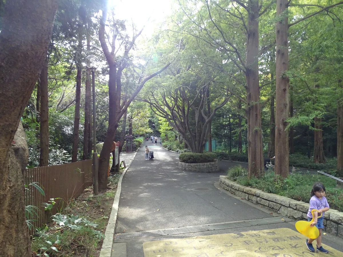 画像91