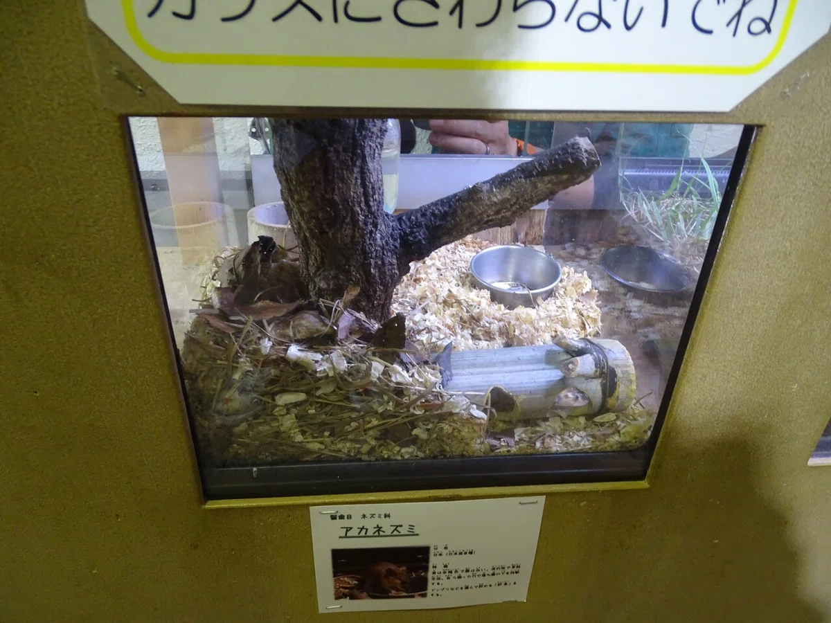 画像103