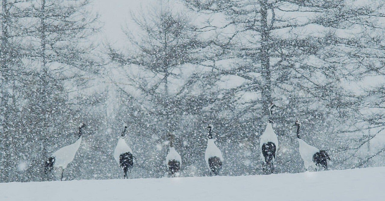 ラルクと核と禁断の恋人 What Is Forbidden えいちびぃ Hybrid Writer 絵と詩と音楽が好き Note ラルクと核と禁断の恋人 What Is Forbidden えいちびぃ Hybrid Writer 絵と詩と音楽が好き Note
