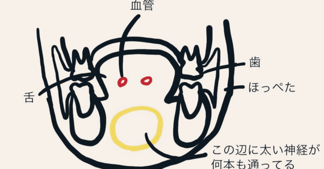 ゴールデンカムイ マスクを外したヴァシリの顔にドン引きした白石由竹は何を見たのか ぬこのひー 本誌 Note ゴールデンカムイ マスクを外したヴァシリの顔にドン引きした白石由竹は何を見たのか ぬこのひー 本誌 Note