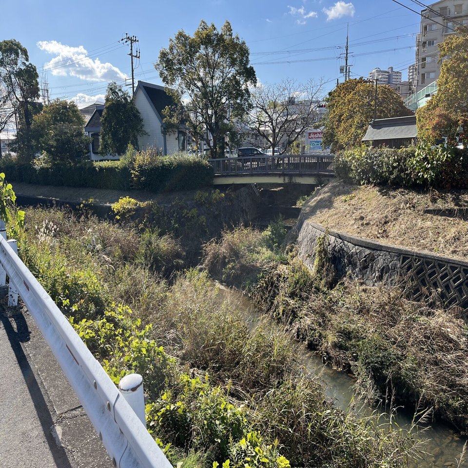 三津屋川緑道 狭山池に流れる小さな川を歩く 南 奥河内から情報発信 フォロバ100 相互フォロー歓迎 毎日更新 彡 Note