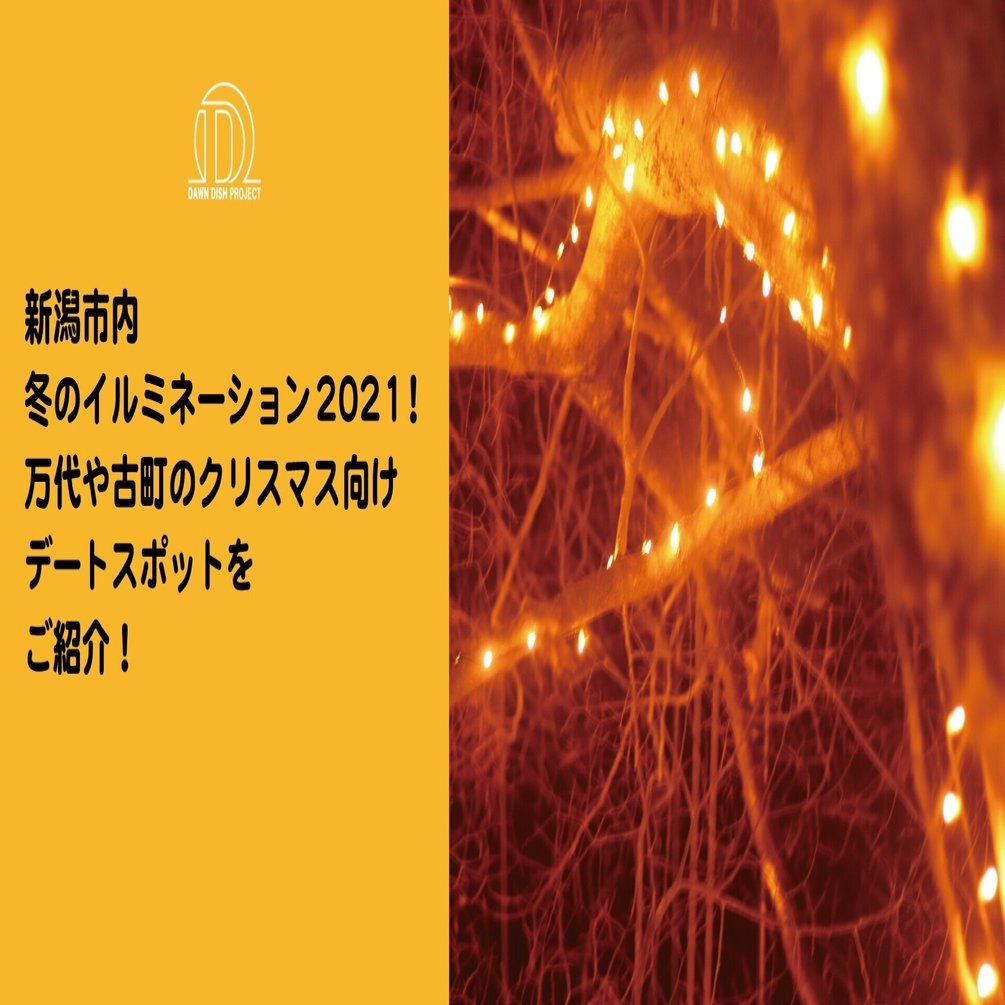新潟市内 冬のイルミネーション21 万代や古町のクリスマス向けデートスポットをご紹介 株式会社ダーンディッシュプロジェクト Note