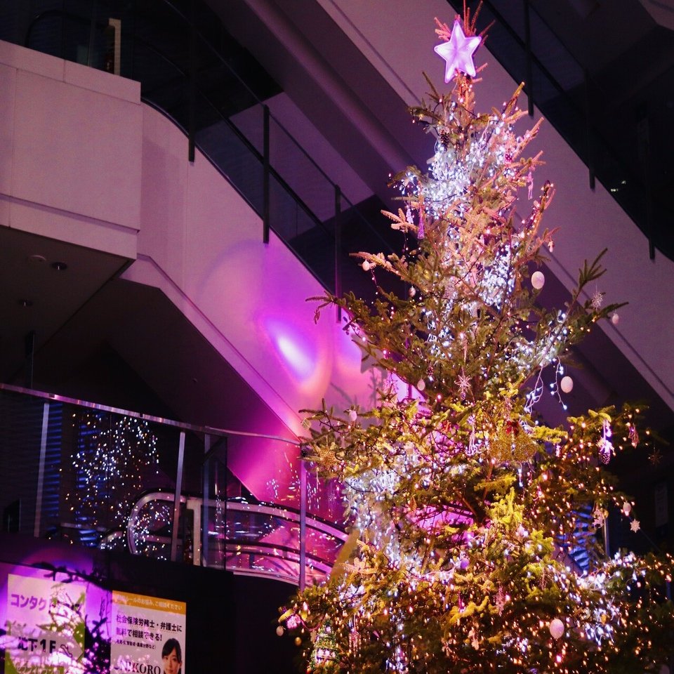 新潟市内 冬のイルミネーション21 万代や古町のクリスマス向けデートスポットをご紹介 株式会社ダーンディッシュプロジェクト Note