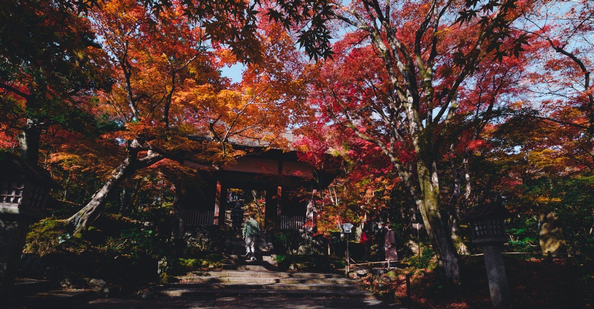 常寂光寺を覆い尽くす紅葉｜Nocchi(のっち)