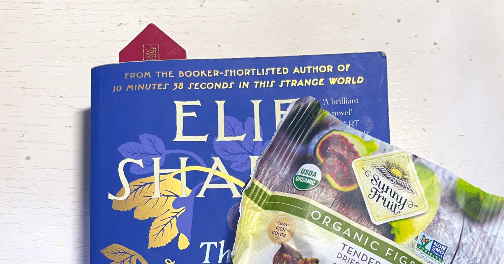 洋書レビュー Elif Shafak: The Island of Missing Trees｜Irene