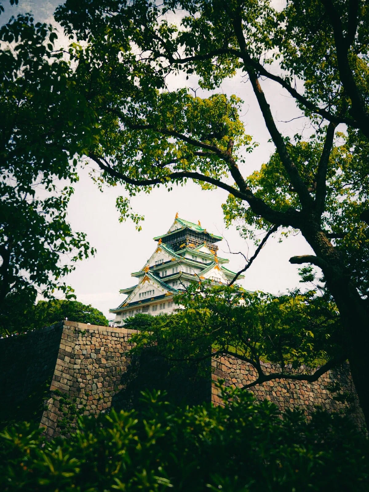 画像11