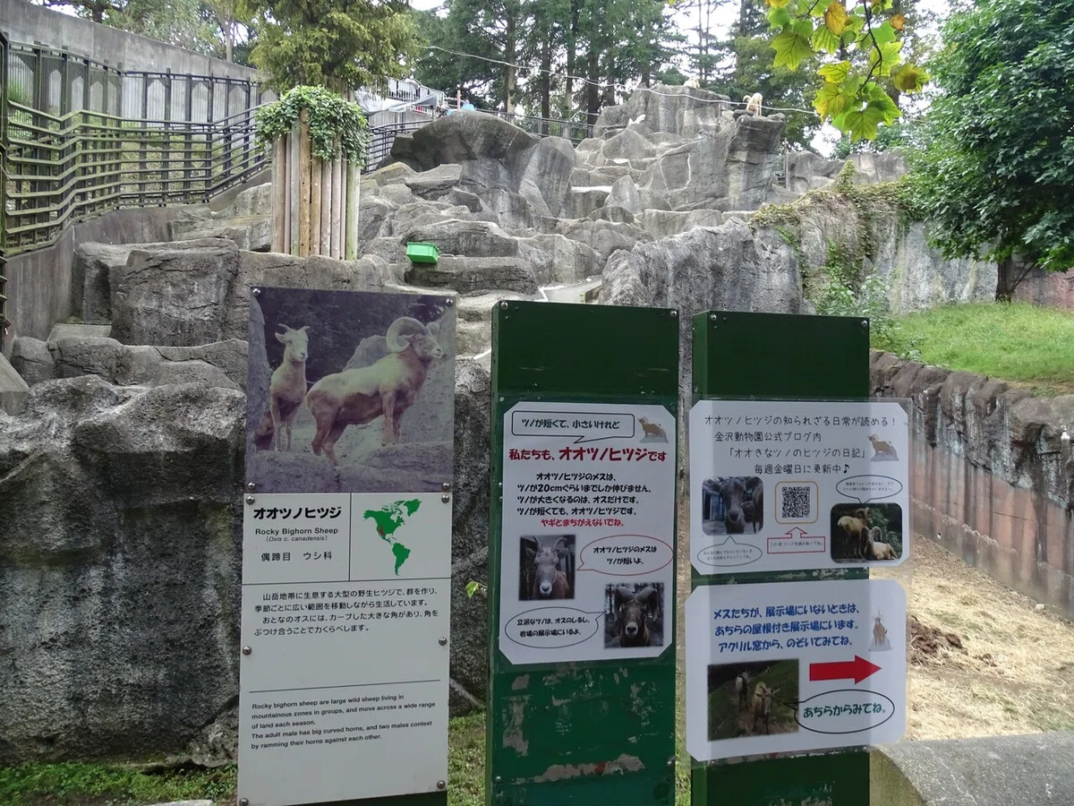 画像101