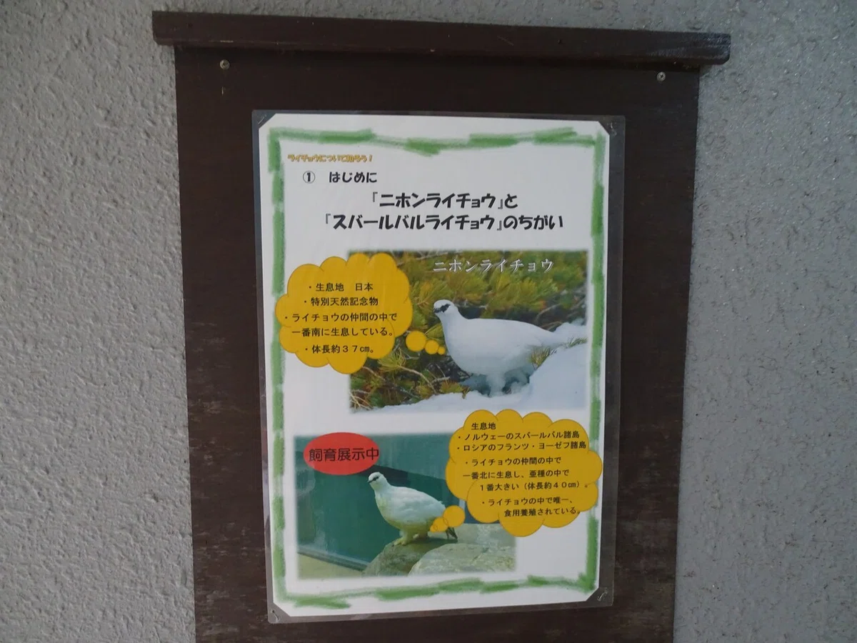 画像109