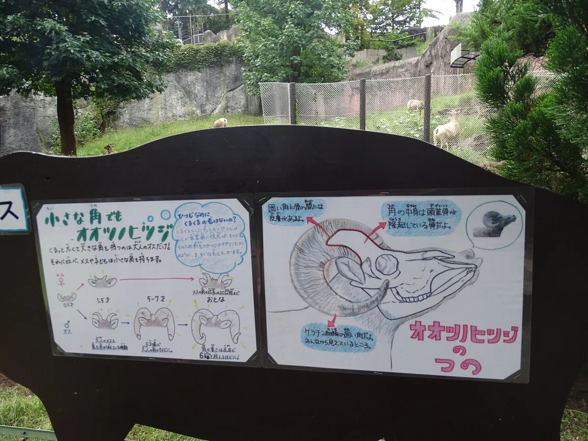 画像108