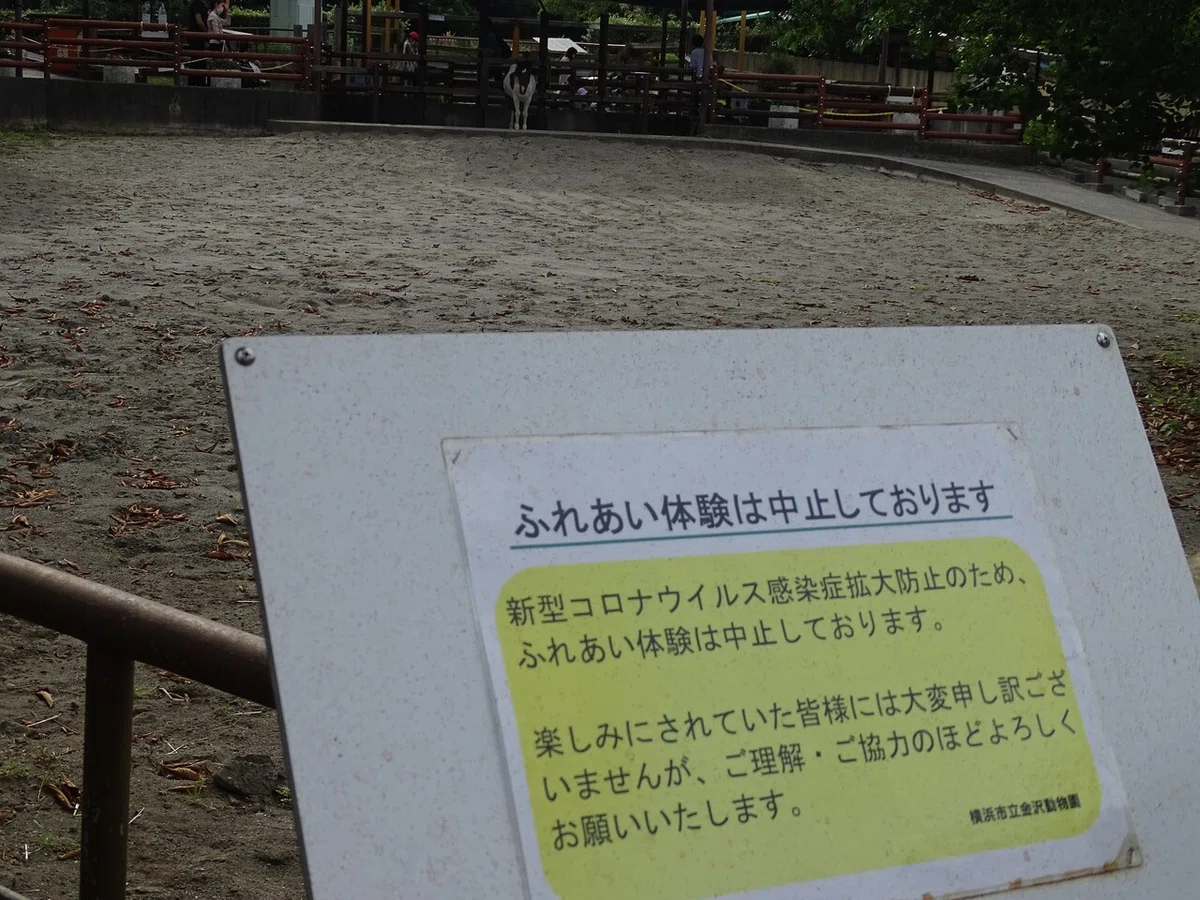 画像125