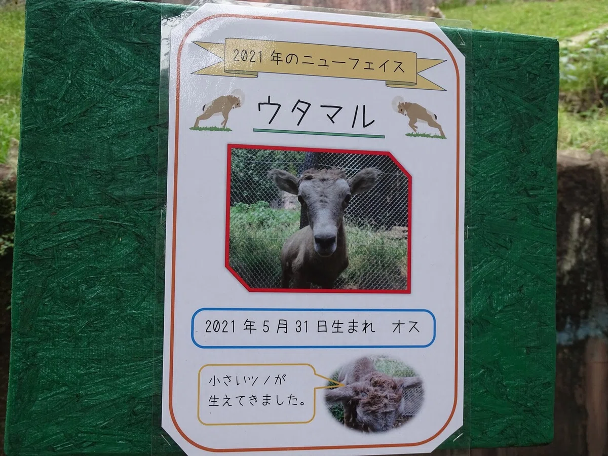 画像106