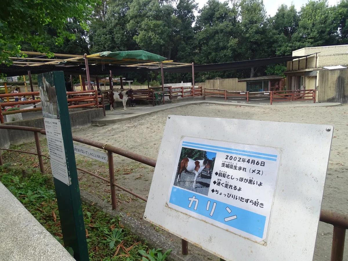 画像126