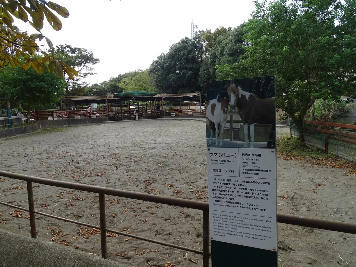 画像122