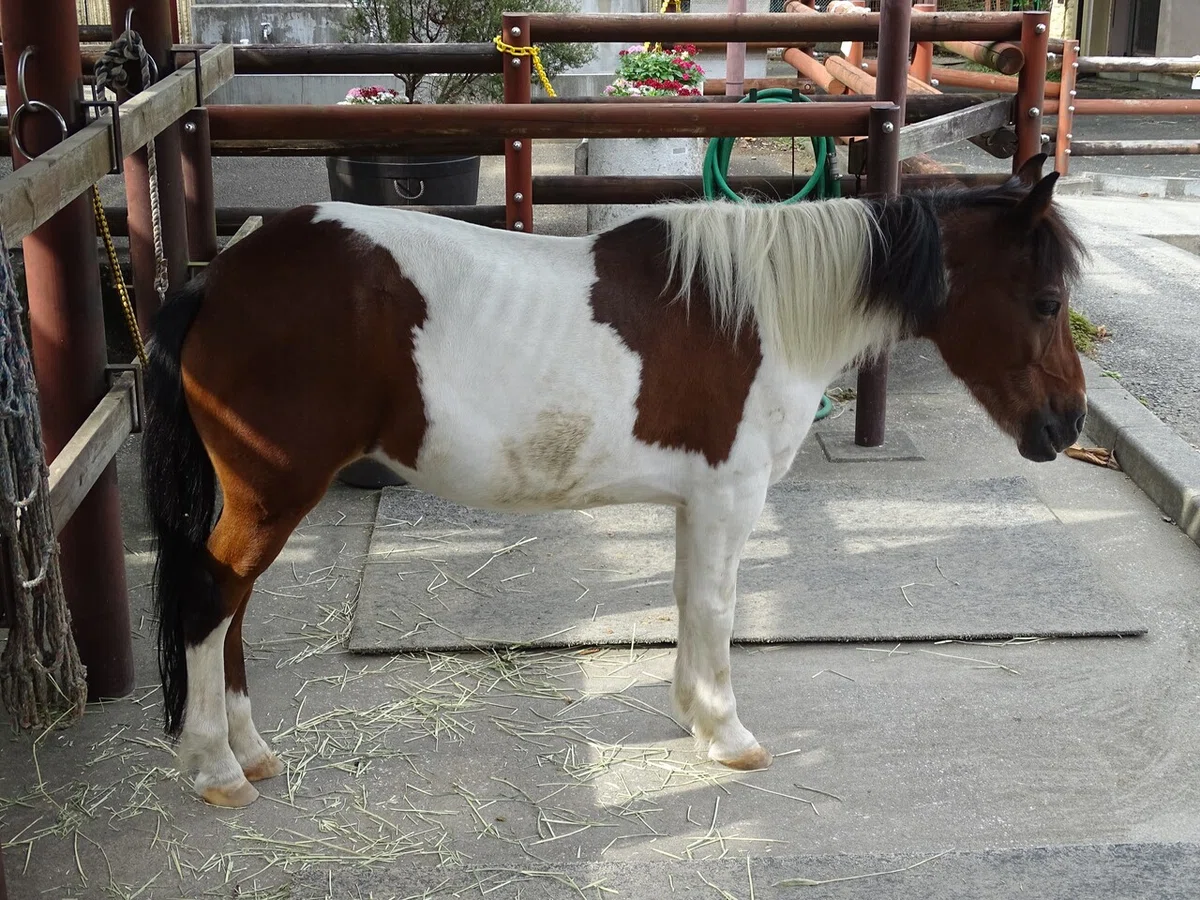 画像127