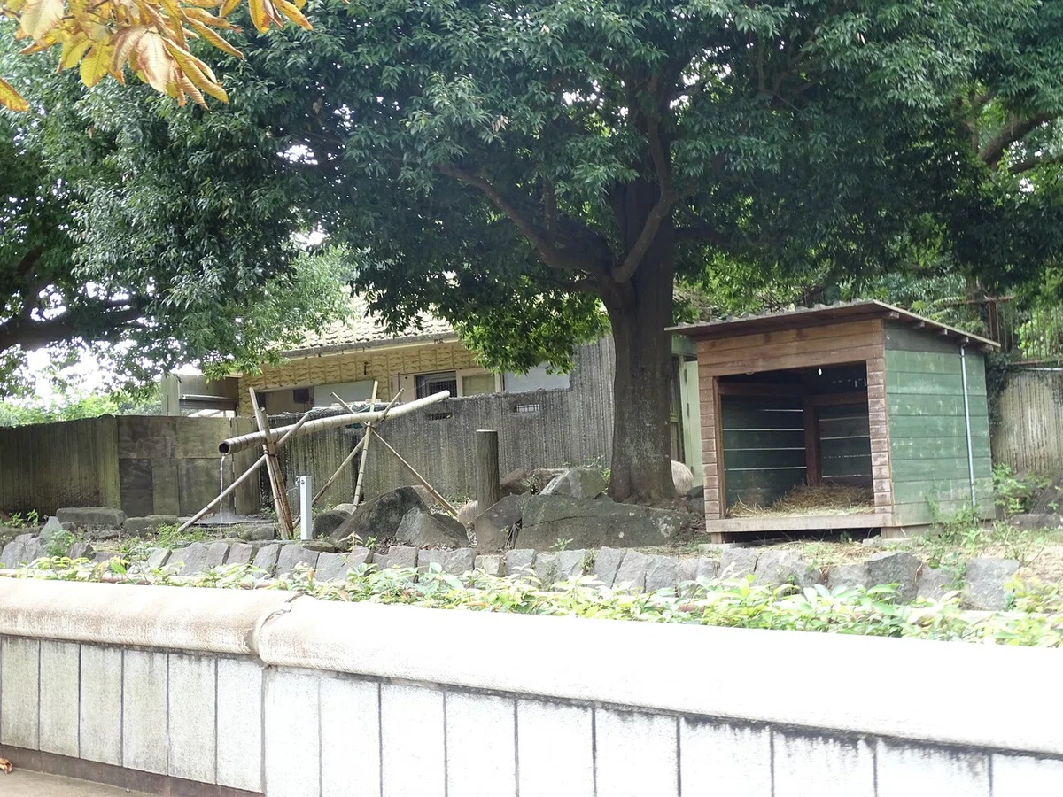 画像114