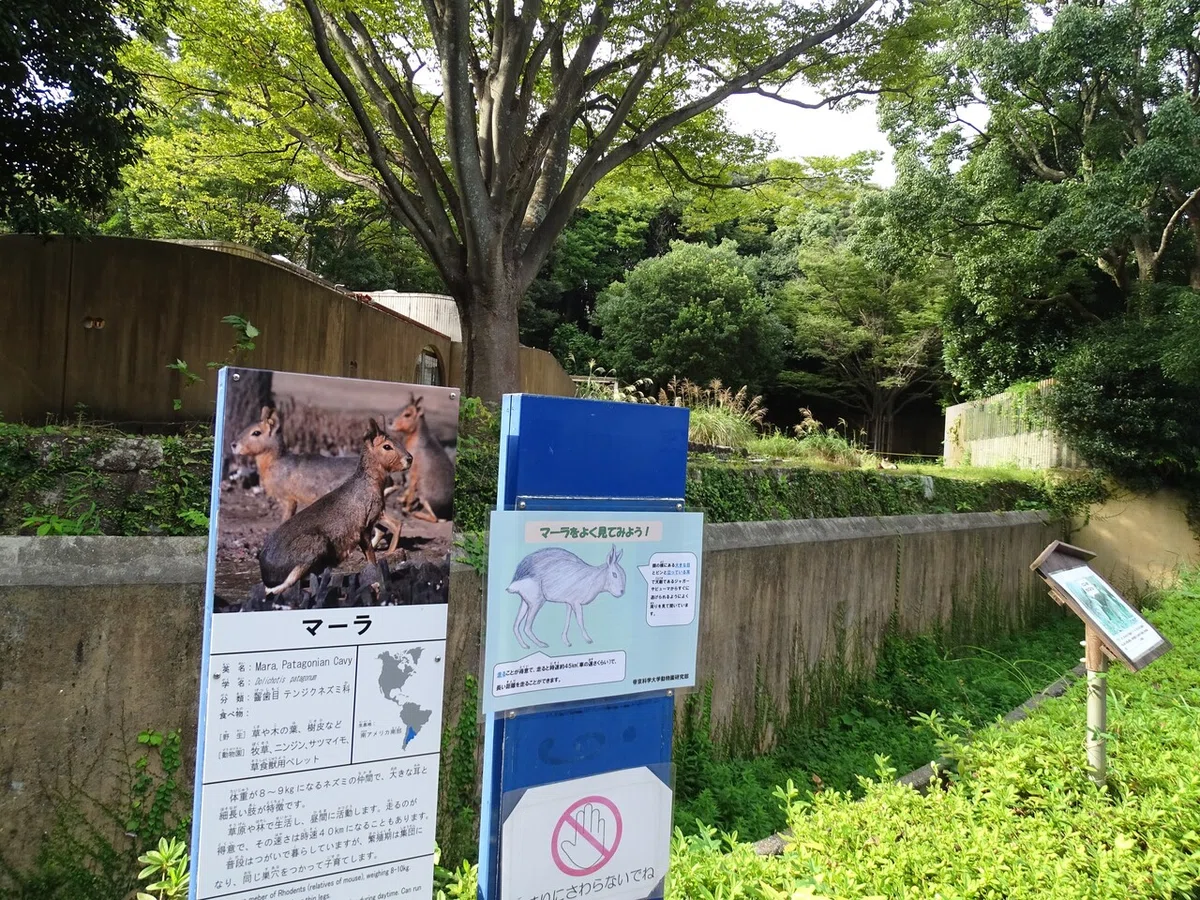 画像142