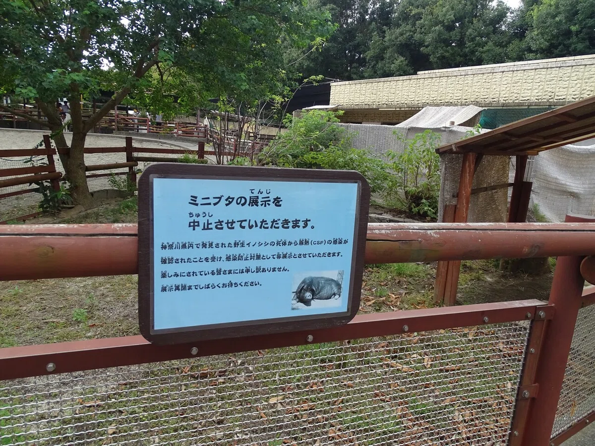 画像118