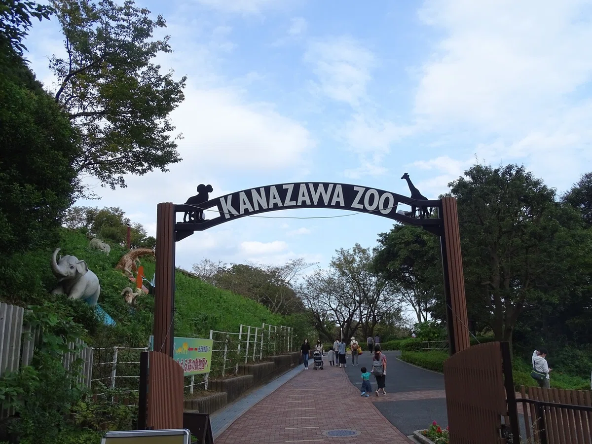 画像137