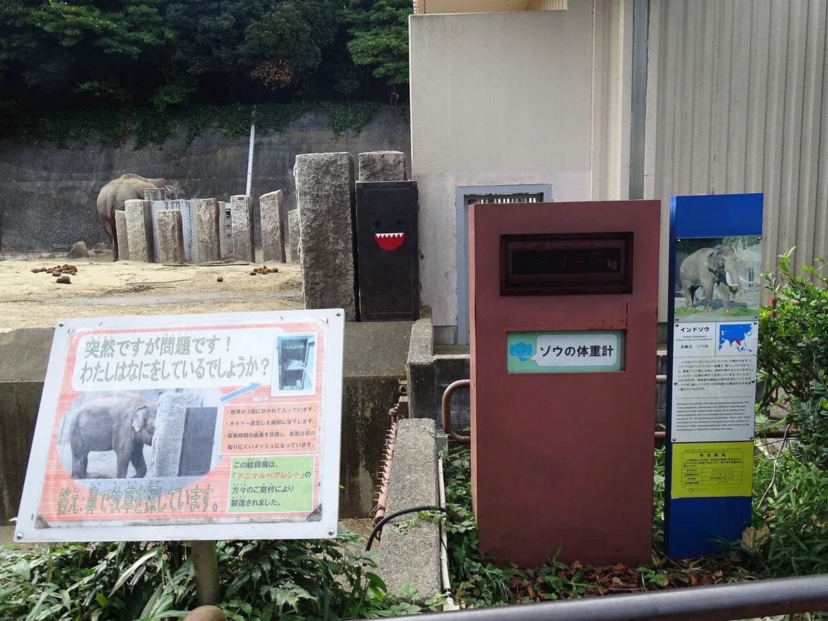 画像153