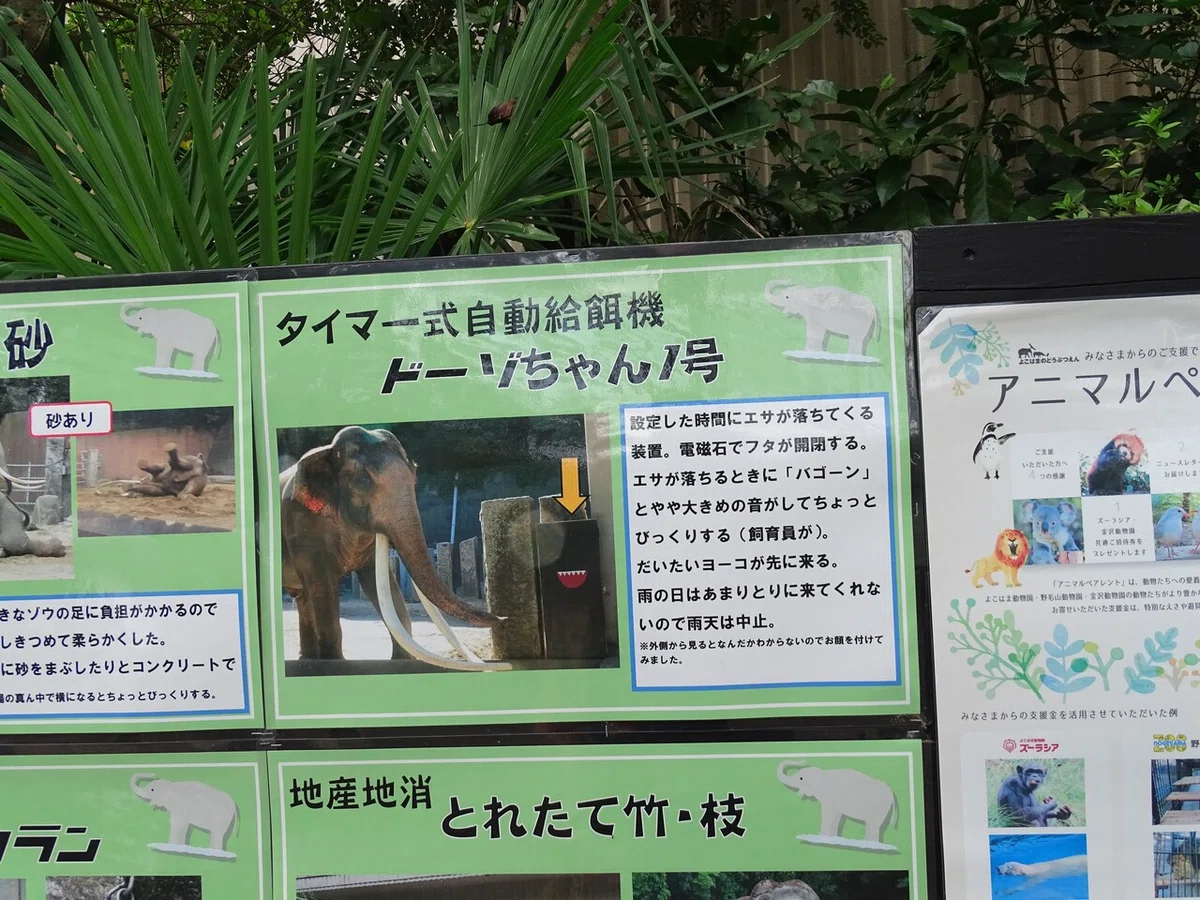 画像154
