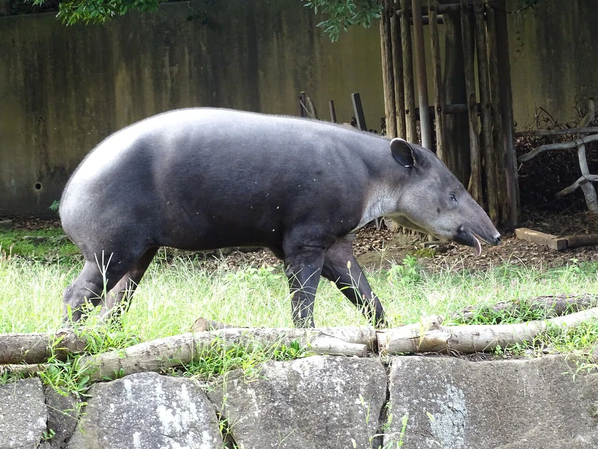 画像147
