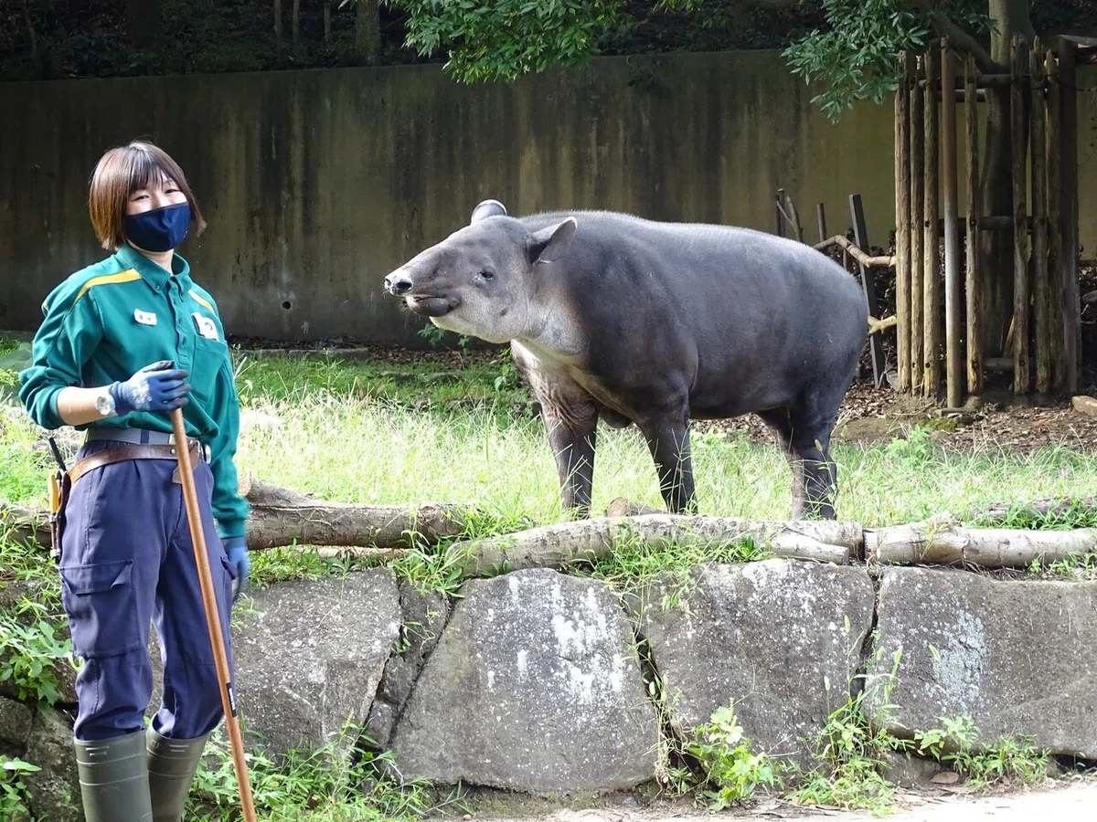 画像143