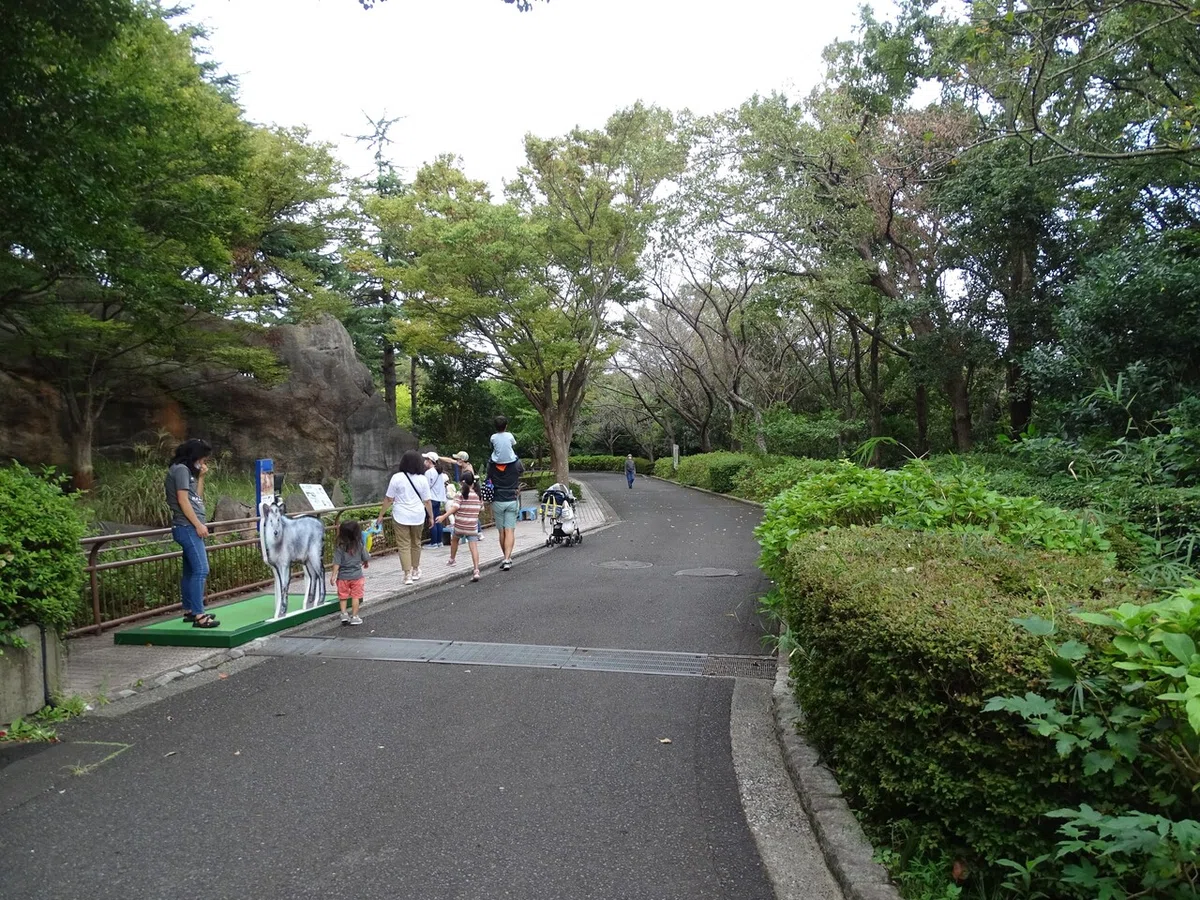 画像167