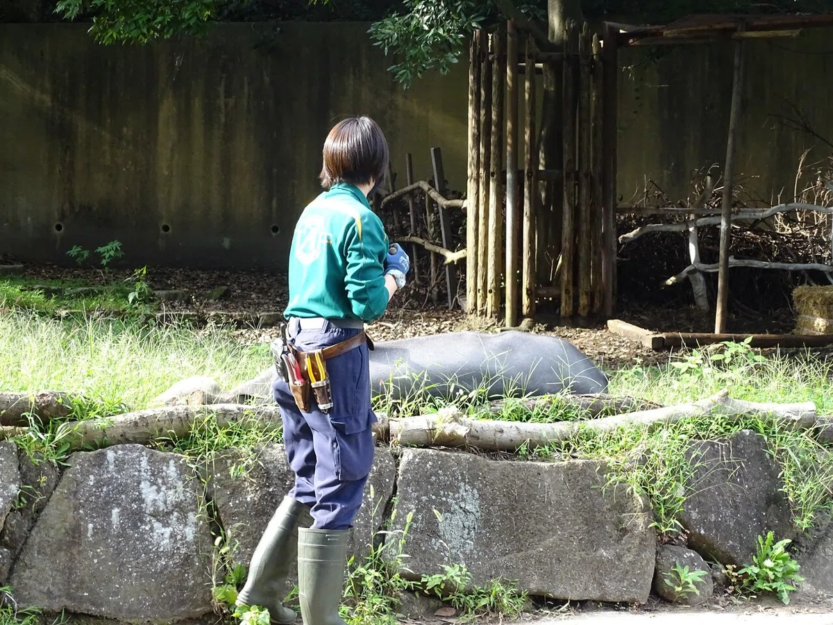 画像140