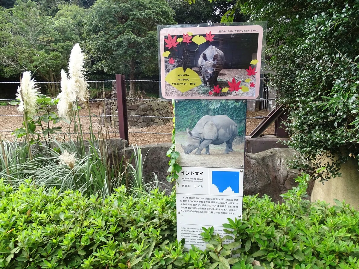 画像158