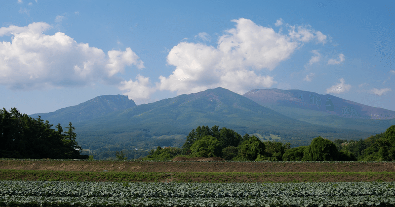 やっぱり、はっきりしない関係のほうがよいのかもしれない。