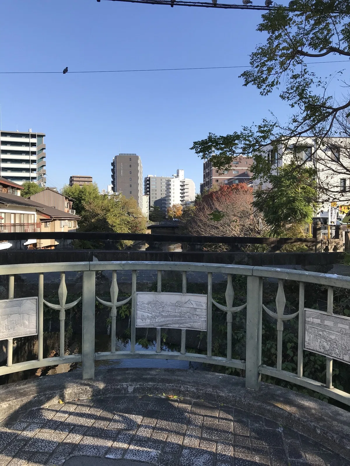 画像36