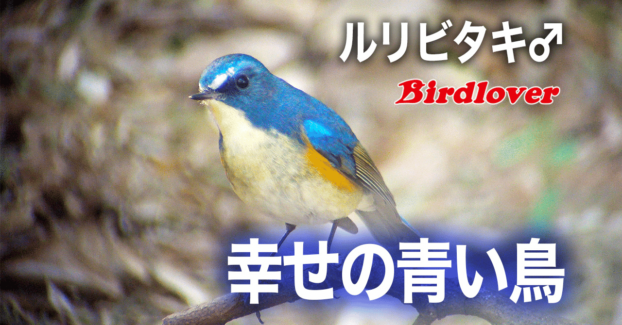 rectangle_large_type_2_acbacab