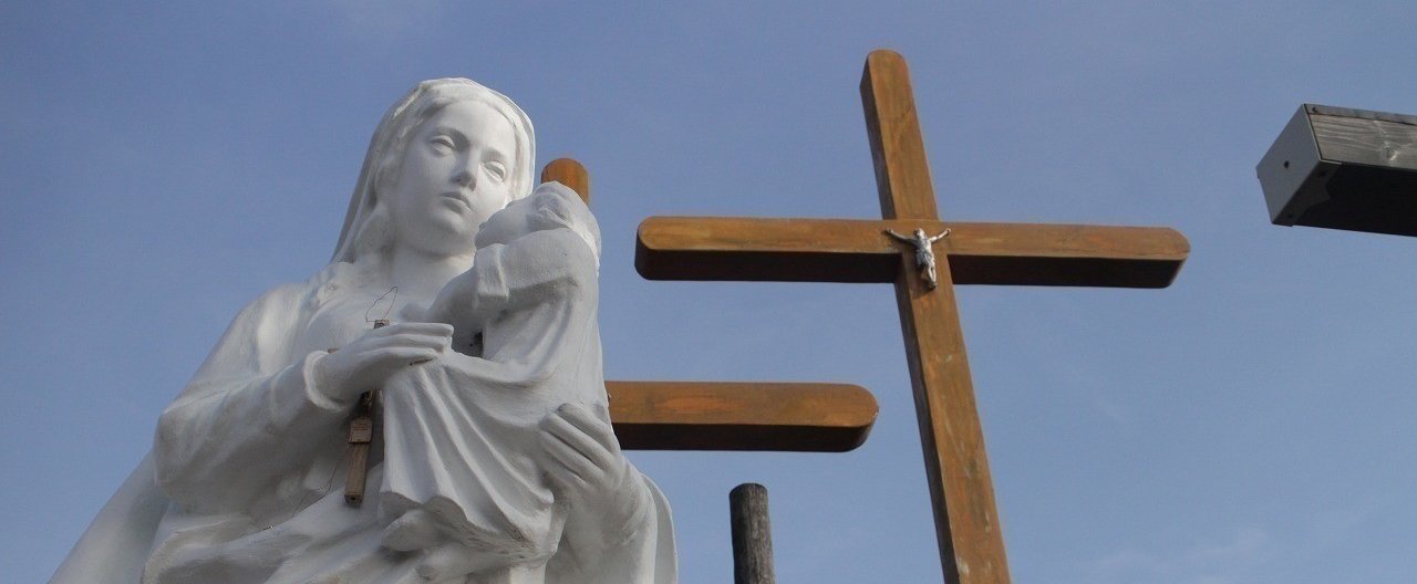 こどもブロイラーを始めよう 舛田 京 Note