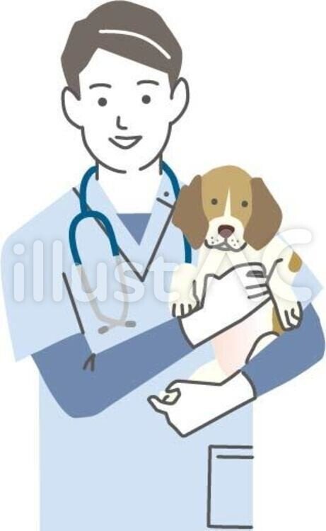 新作 イラスト無料材 獣医 男性 無料 イラスト無料提供中 一部有料 Note