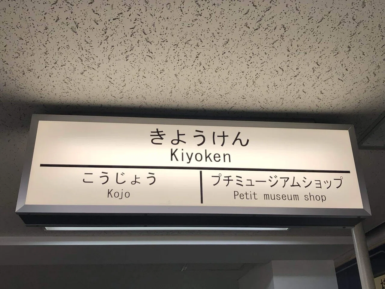 崎陽軒🍱シウマイがシュウマイでない理由｜8_HACHI_