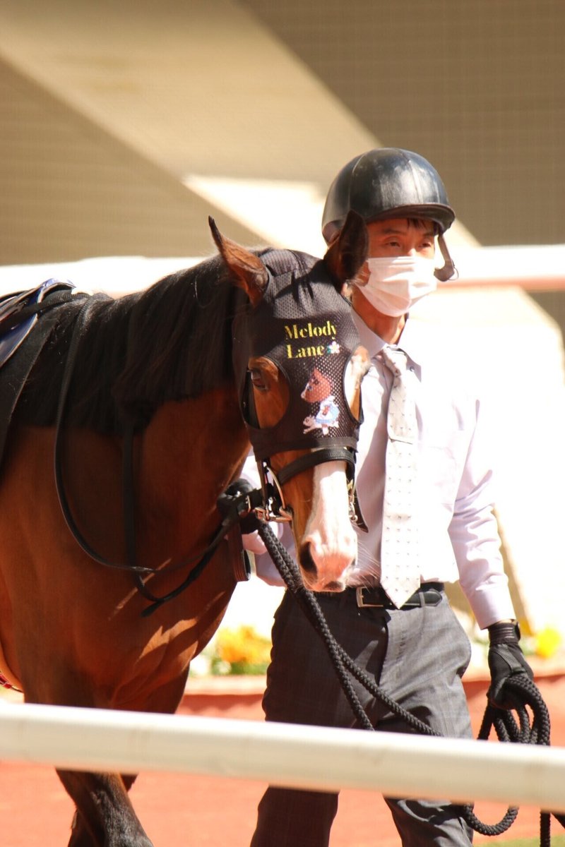 競馬の魅力ってなに Part2 競馬の楽しみ方は自由度が高い 碧馬らいむ Note